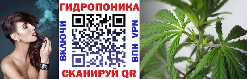 Купить Кологрив Конопля SATIVA & INDICA